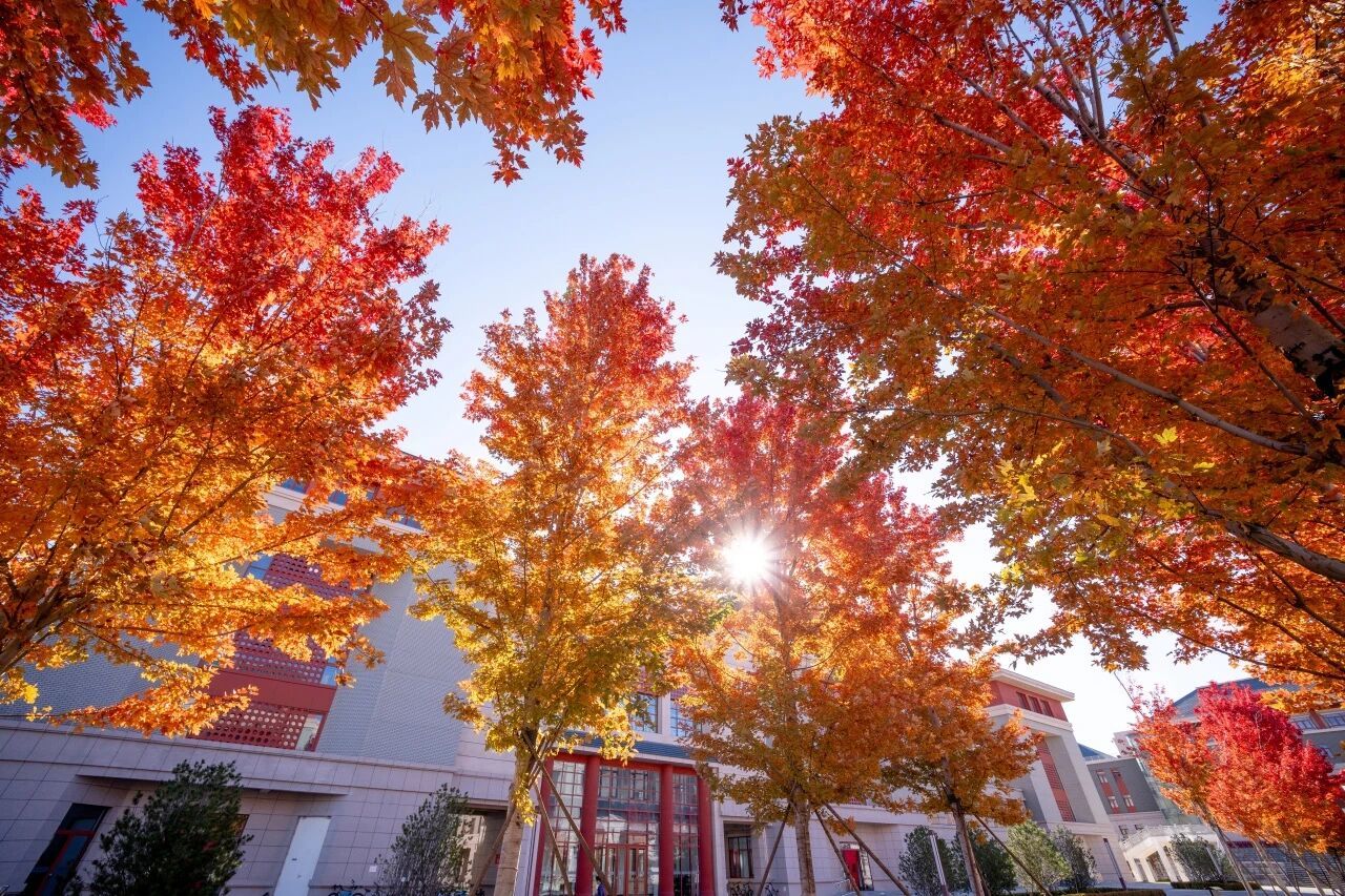 民大绝美秋景,错过等一年!