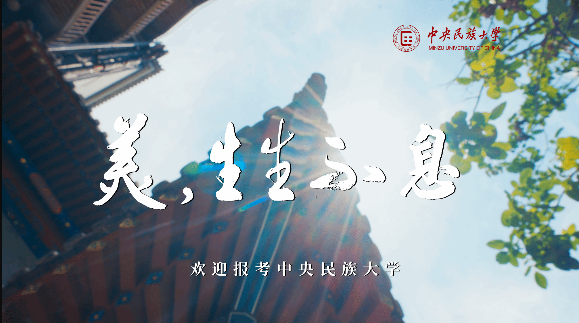 美，生生不息丨星空·体育登录入口招生宣传片重磅发布！